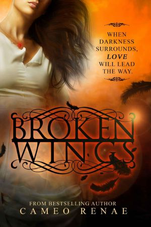 [Hidden Wings 02] • Broken Wings (Hidden Wings Series Book Two)